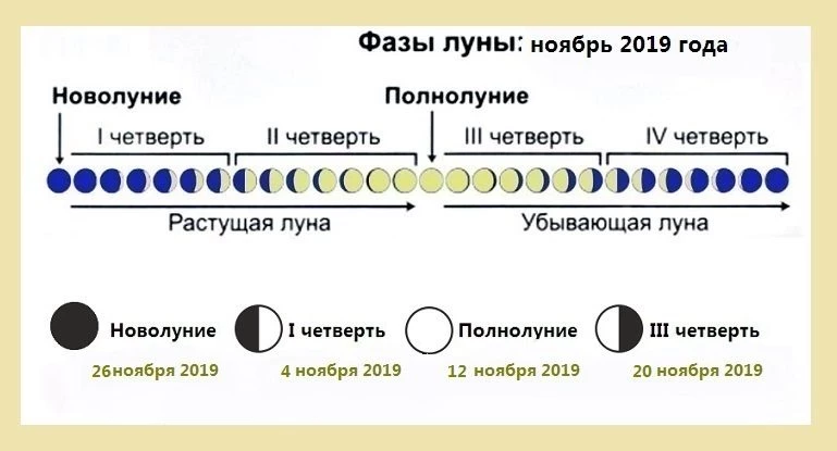 Когда будет новолуние в ноябре 2019 года