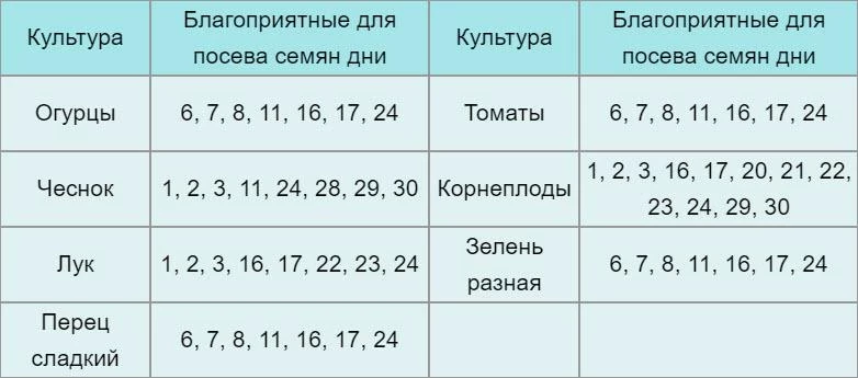 Лунный календарь огородника на ноябрь 2019 года посадочные дни