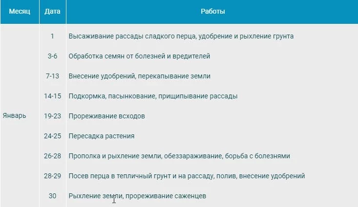 Посев перца на рассаду в 2020 году по лунному календарю