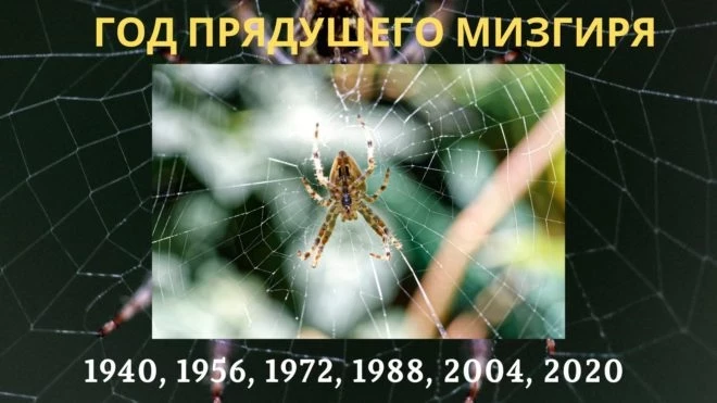 Славянский календарь 2020 год какого животного по гороскопу