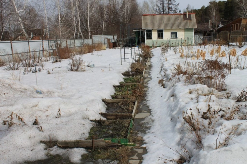 Лунный посевной календарь на январь 2020 года садовода и огородника