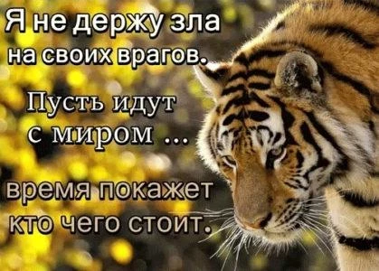 Неперебиваемый обрег от врагов и сорокасильная молитва: это одни из самых сильных заговоров, которые нельзя перебить и они защитят от неудач
