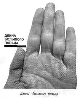 Характеристика большого пальца в хиромантии