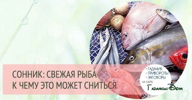 К чему снится рыба мнения популярных сонников