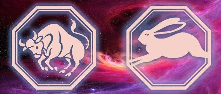 Телец кот женщина характеристика