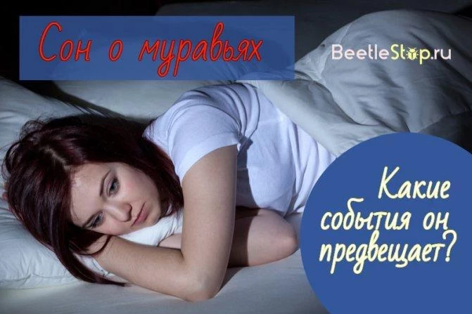 Сонник маленькие муравьи