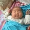 Воробей стучит в окно: примета