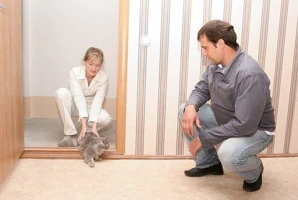 Как заходить в новую квартиру приметы