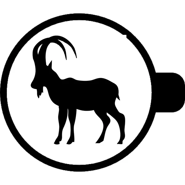 Гадание на кофейной гуще толкование корова
