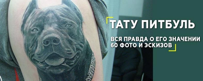 Значение тату пит буль