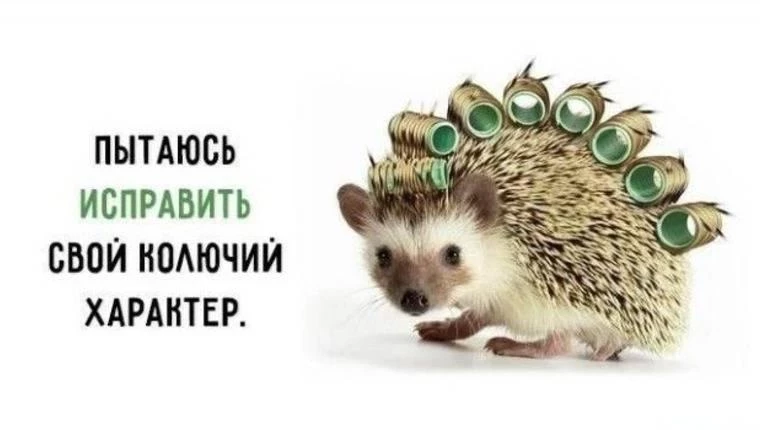 Полная характеристика человека по всему