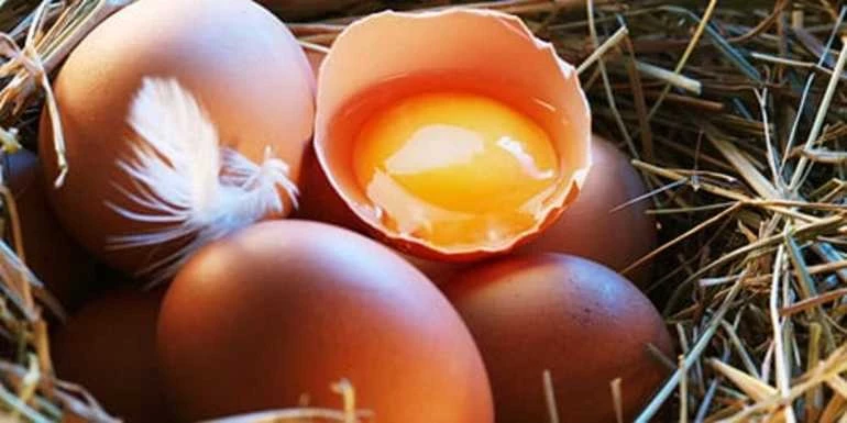 К чему снятся разбитые сырые куриные яйца?