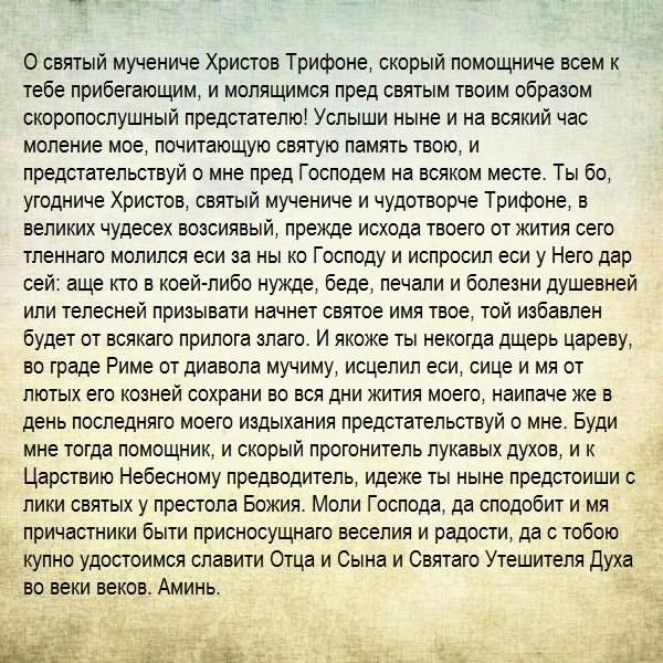 Молитва на удачу, успех в делах и деньгах для мужа, сына, дечери