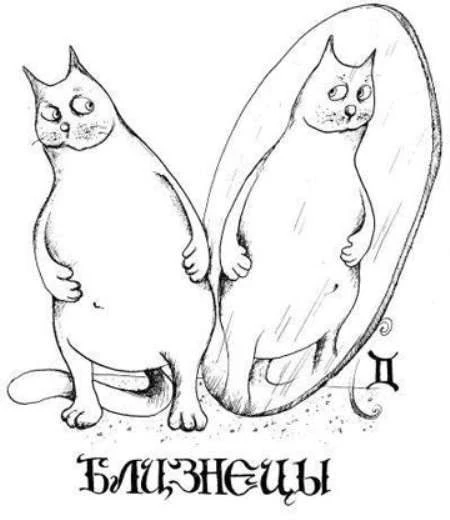 Близнецы знак зодиака обереги