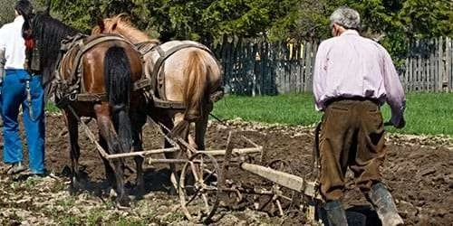 Сонник пахать землю на тракторе