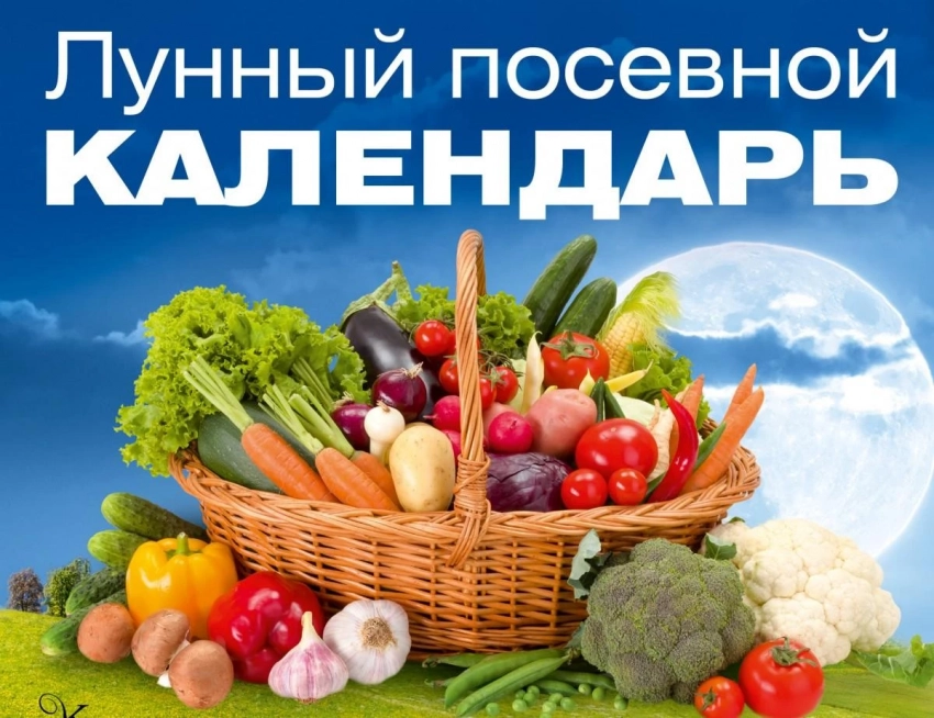 Лунный посевной календарь на сентябрь 2021