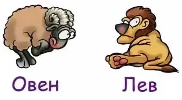 Совместимость Льва и Овна по гороскопу