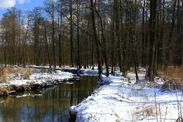 Период знака Зодиака Рыбы