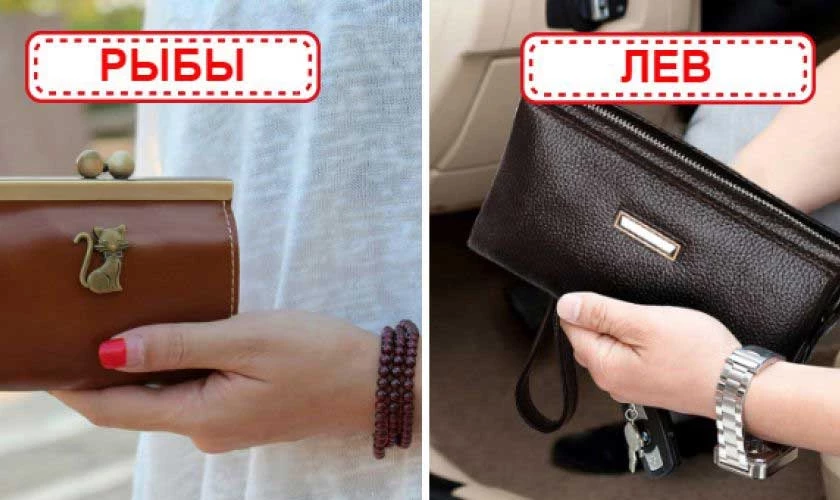 Цвета кошельков по знаку Зодиака