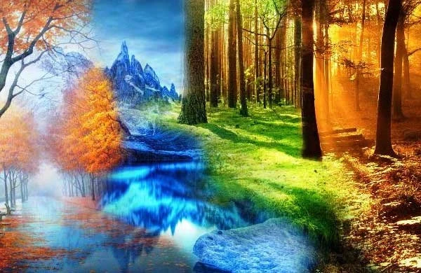 Порядок знаков Зодиака по месяцу